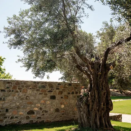 Ξενοδοχείο Kaminos Evia